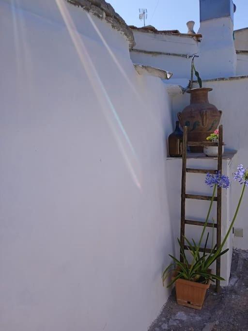 Villa Gasphouse Castellana Grotte Esterno foto