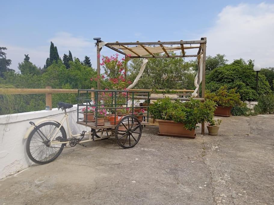Villa Gasphouse Castellana Grotte Esterno foto