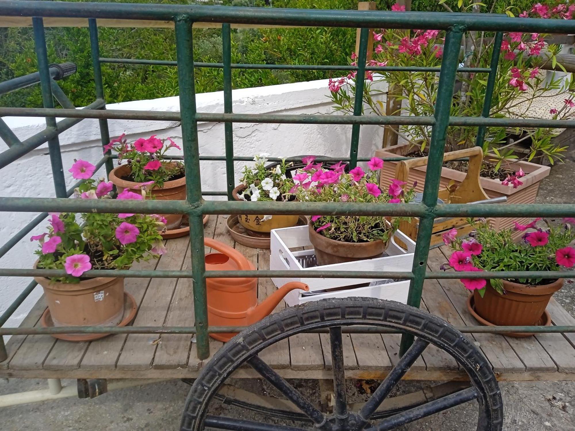 Villa Gasphouse Castellana Grotte Esterno foto